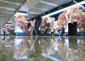 Shanghai Transport Hub Installs 1,800m² of Absen LED