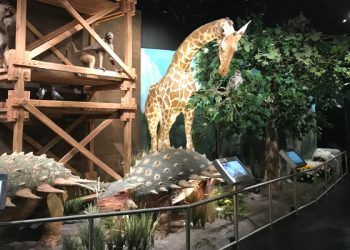 ICR’s Discovery Center Partners with Strand for a Flexible, Integrated Control Solution