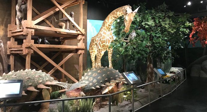 ICR’s Discovery Center Partners with Strand for a Flexible, Integrated Control Solution