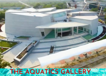 A Scientific Journey into Marine Life on Land: The Aquatics Gallery