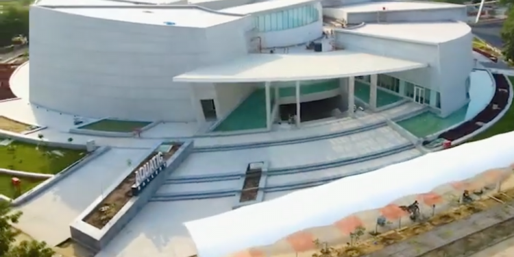 A Scientific Journey into Marine Life on Land: The Aquatics Gallery