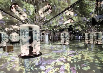 Christie Solutions Immerse Visitors at Xpark Aquarium