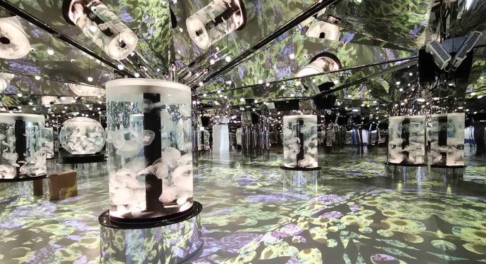 Christie Solutions Immerse Visitors at Xpark Aquarium