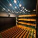 TORUS Constant Curvature the Perfect Solution for Tsukuba’s Capio Hall
