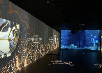 Barco Showcases Cutting-Edge Visualization Solutions at World Expo 2025