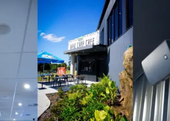 Jungle Adventure Swings into Action with Optimal Audio