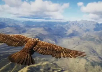 Changbai Mountain’s Flying Dome Attraction Takes Flight With Single Projector Upgrade