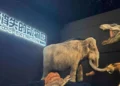 Christie Jazz Series Projectors Bring Extinct Species to Life at Suzhou Science and Technology Museum