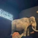 Christie Jazz Series Projectors Bring Extinct Species to Life at Suzhou Science and Technology Museum